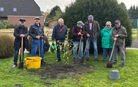 Gruppenbild mit Baum